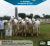 4ª Expo Cerrado