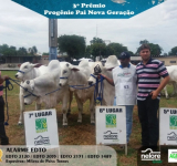 4ª Expo Cerrado