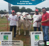 4ª Expo Cerrado
