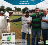 4ª Expo Cerrado