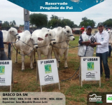 4ª Expo Cerrado