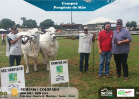 4ª Expo Cerrado