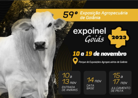 Expoinel 2023: começa a entrada de animais no Parque de Exposições de Goiânia 