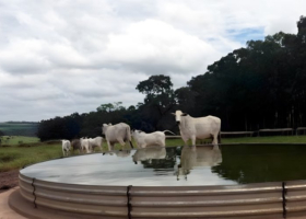 Radar Sanitário para dezembro