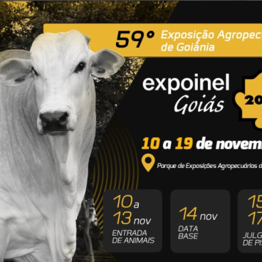 Expoinel 2023: começa a entrada de animais no Parque de Exposições de Goiânia 